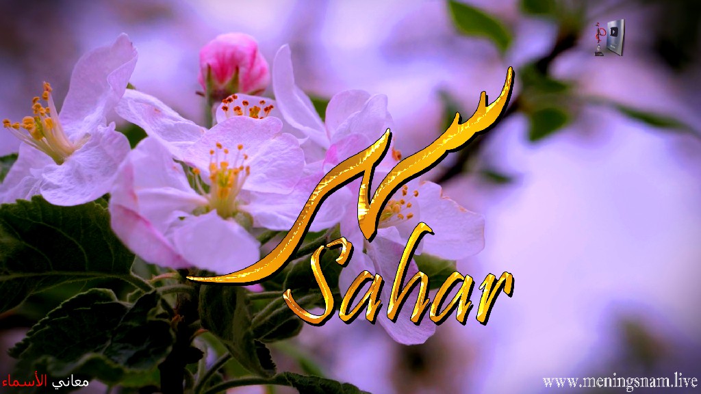 معنى اسم, سهر, وصفات, حاملة, هذا الاسم, Sahar,