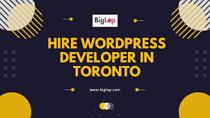 Hire WordPress Developer in Toronto – Modern Dashboard for WordPress | 2022