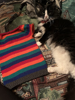 A black and white fluffy cat lays stretched out on the right hand side of the laid out sweater.