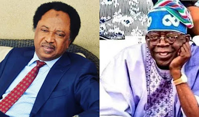 Shehu Sani Dares Northerners Visiting Tinubu To Paste His Campaign Posters Outside Their Houses