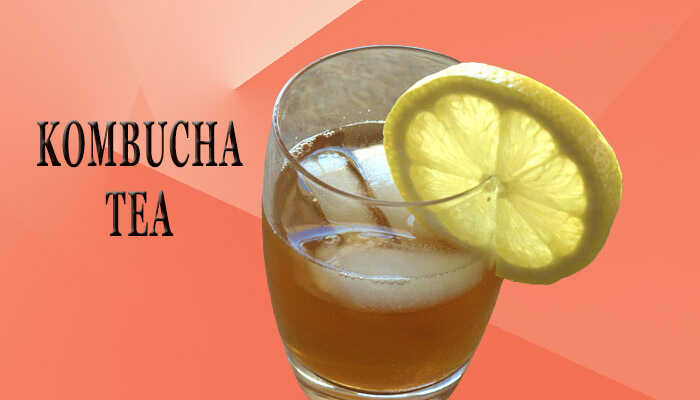 kombucha probiotics drink