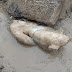 Μαρμάρινο άγαλμα του Ηρακλή ανακαλύφθηκε στους Αιζανούς