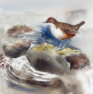 dipper bird watercolour art