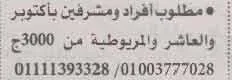 اعلانات وظائف أهرام الجمعة اليوم 10/12/2021-35