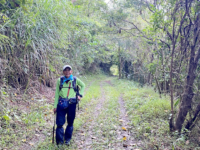 往高士佛山、千年茄苳神木