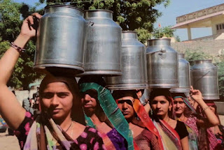 banaras-dairy