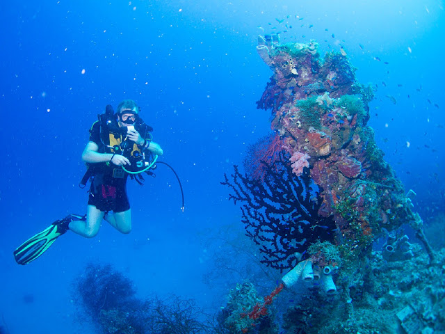 Аквалангист на фоне кораллового рифа