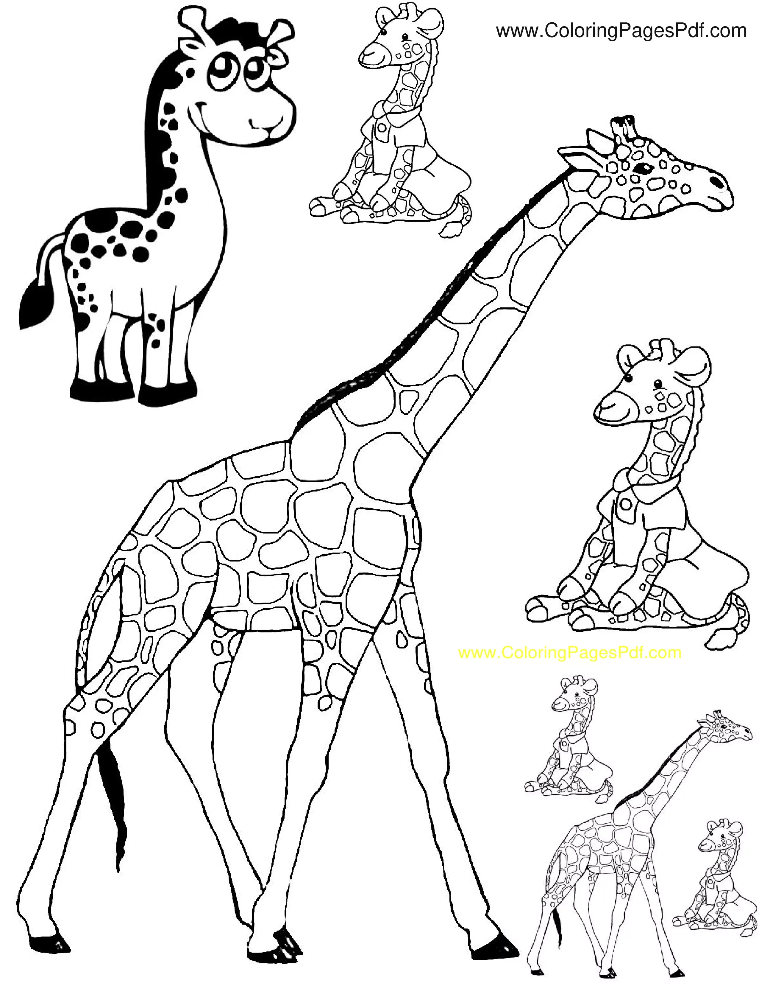 Realistic giraffe coloring pages