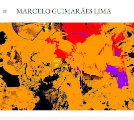 MARCELO GUIMARAES LIMA ARTWORKS