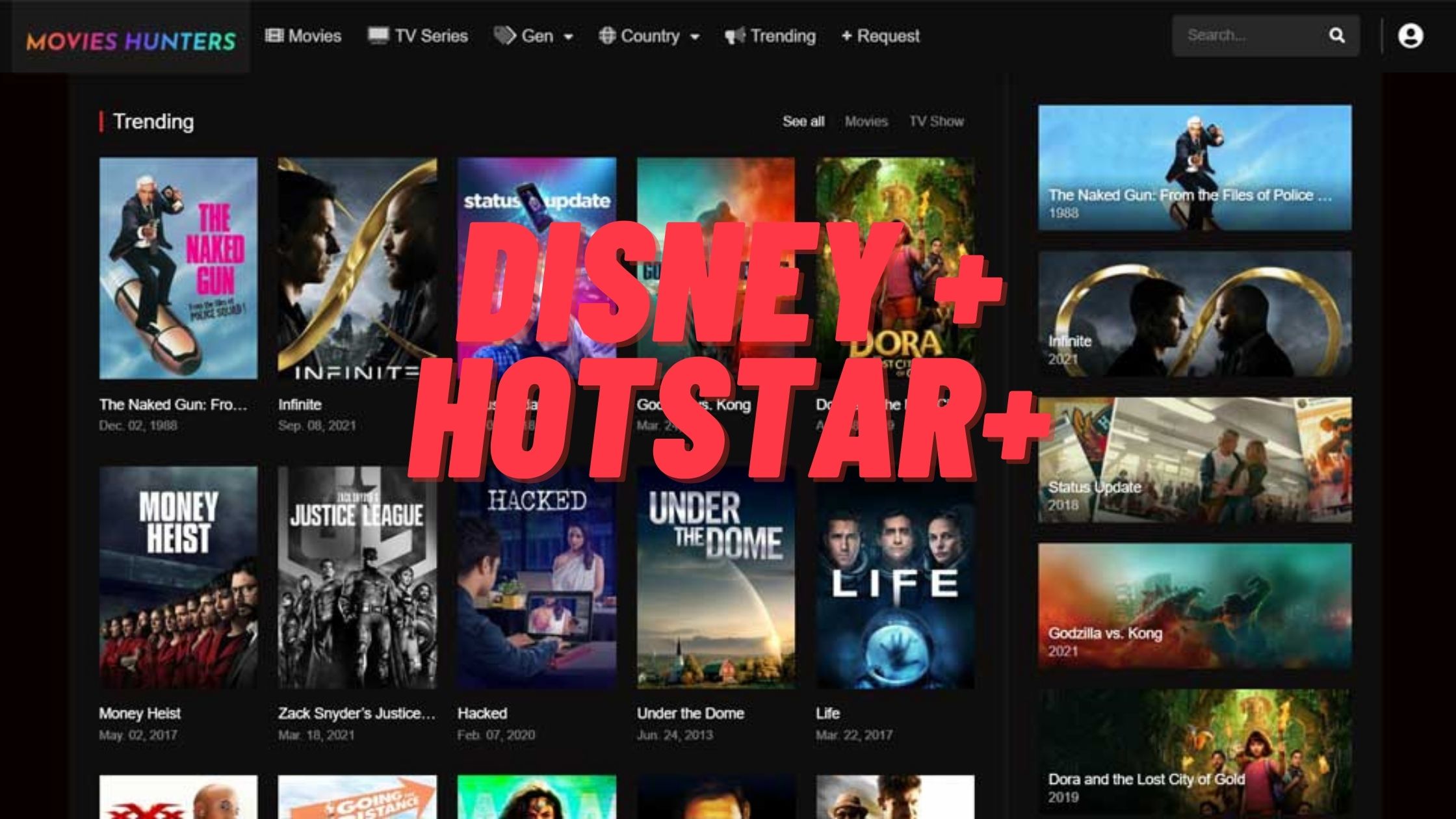 Disney + Hotstar+