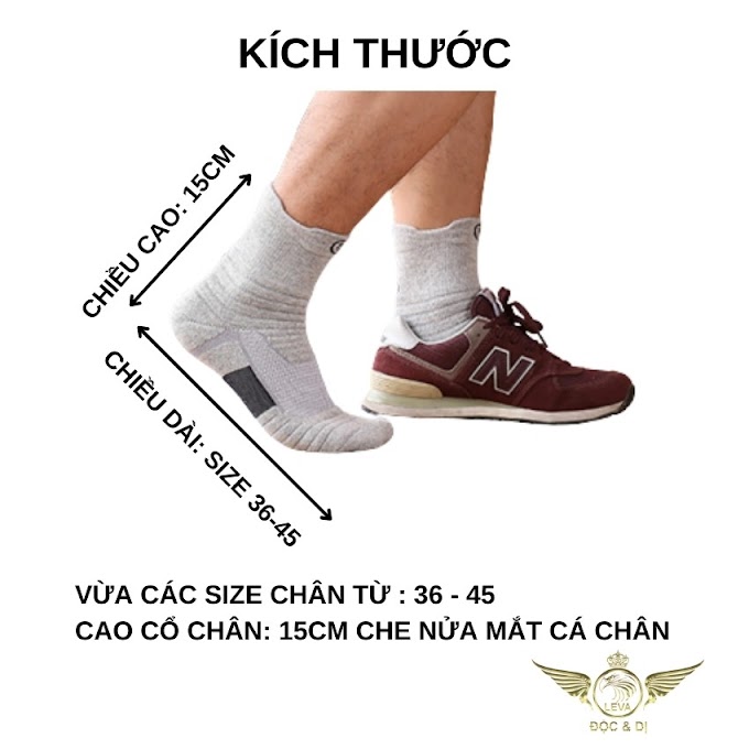 [ levafashion ] Tất nam cổ cao thể thao công sở cao cấp dày dặn ôm êm chân thấm hút mồ hôi khô thoáng không gây mùi size 35-45 T010GSC