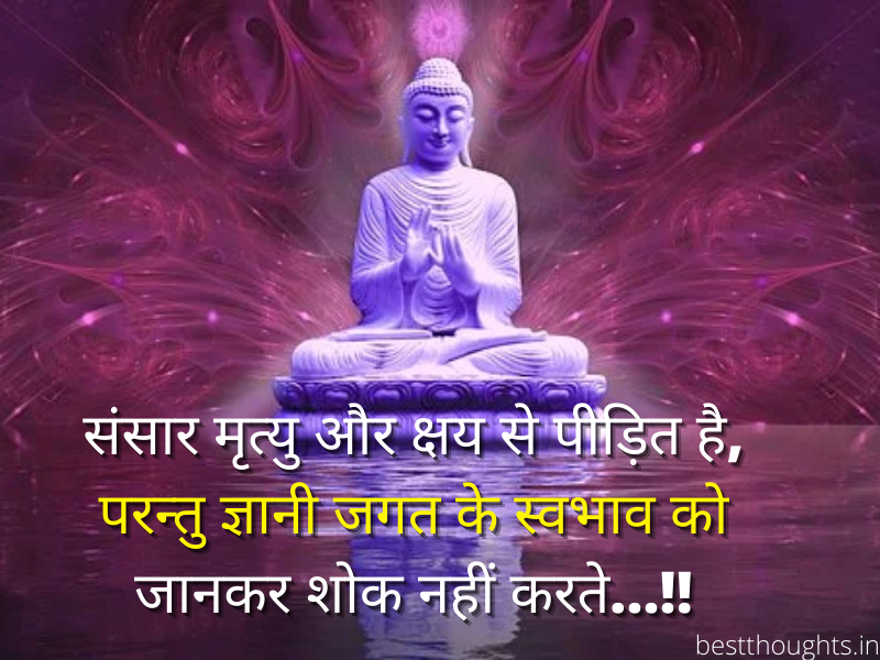 positive buddha quotes in hindi