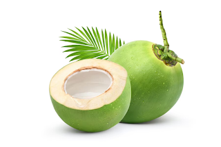 Best Tender Coconut Suppliers in Bangalore