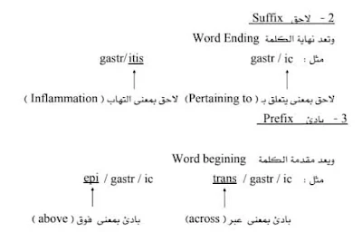 افضل كتاب للمصطلحات الطبية