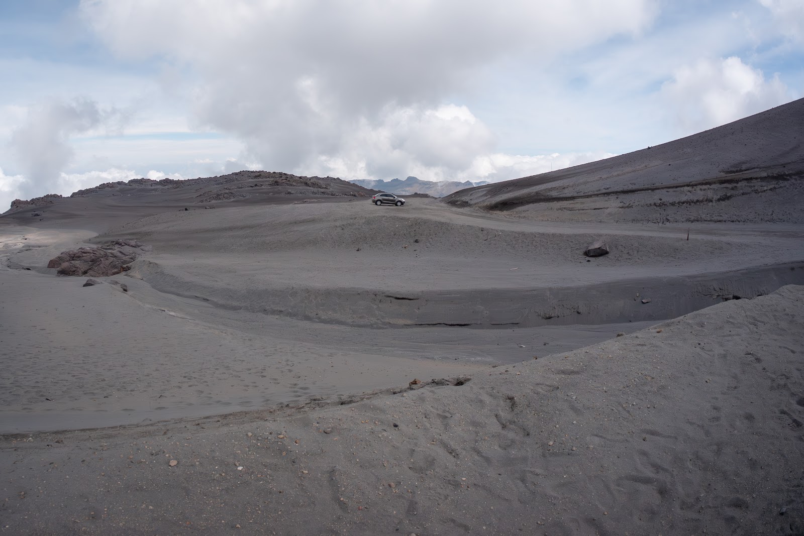 Día 15: Paque Nacional Los Nevados - Colombia y Curazao: Pajareo, Amazonas y Caribe (7)