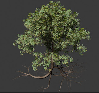 Tree with roots Plant fbx blend free 3d models download