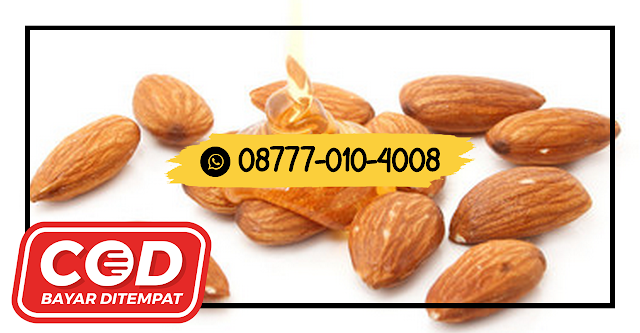 08777 010 4008 jual KACANG ALMOND Yogyakarta