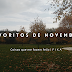 Favoritos de Novembro