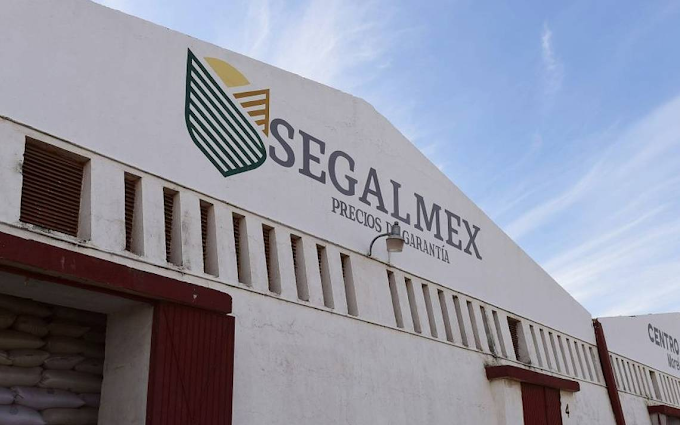 La FGR ya indaga sobre presunto fraude en Segalmex: AMLO