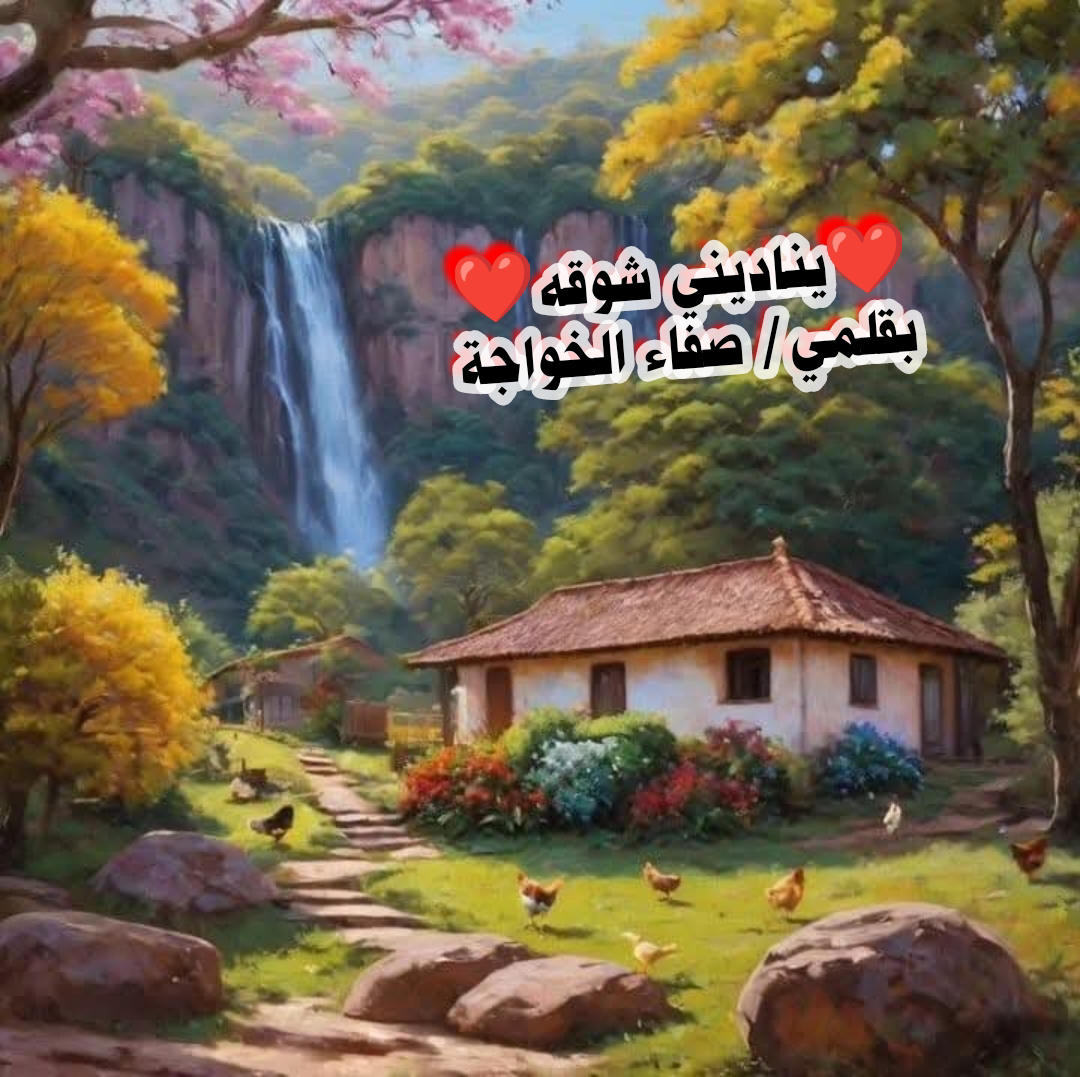 صورة