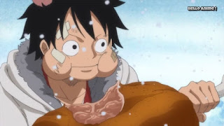 ワンピースアニメ WCI編 869話 ルフィ レイリー 修行 ルスカイナ 見聞色の覇気 Luffy Rayleigh observation haki| ONE PIECE ホールケーキアイランド編