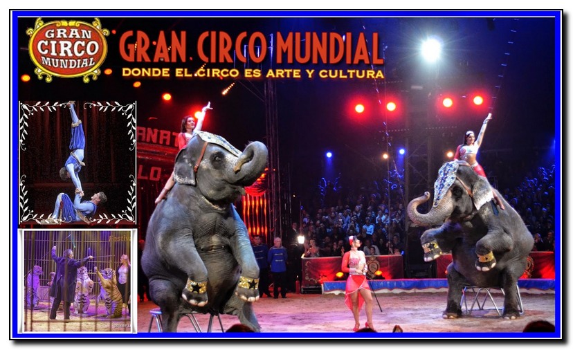 CARTELES DE CIRCO