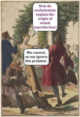 Since Darwin and through today, sexual reproduction is the queen of evolutionary problems. It also refutes evolution through science and logic.