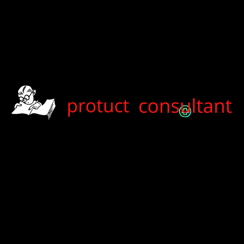 product consultant