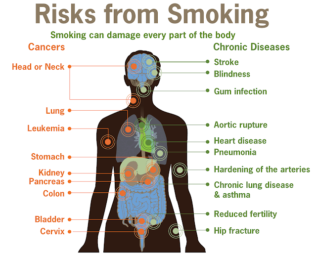 side effects of smoking paragraph