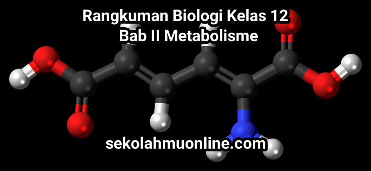 Rangkuman Biologi Kelas XII Bab 2 Metabolisme