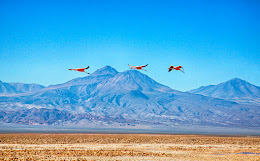 ATACAMA - CHILE