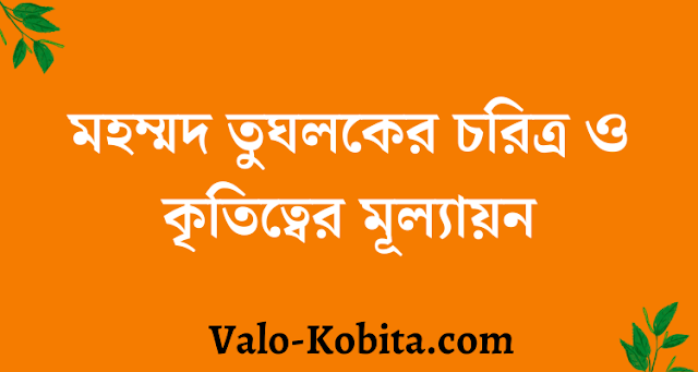 মহম্মদ তুঘলকের চরিত্র ও কৃতিত্বের মূল্যায়ন