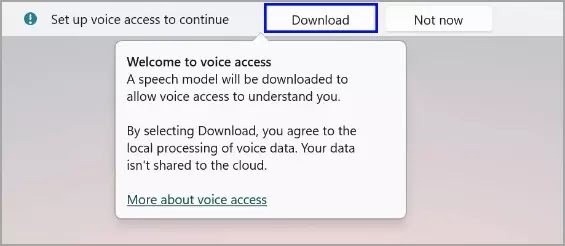 5-set-up-voice-access-to-continue-download