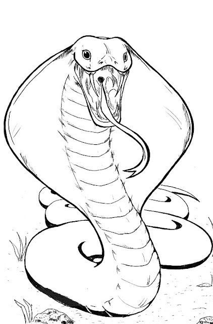 Top 13 Free Printable Snake Coloring Pages for Kids