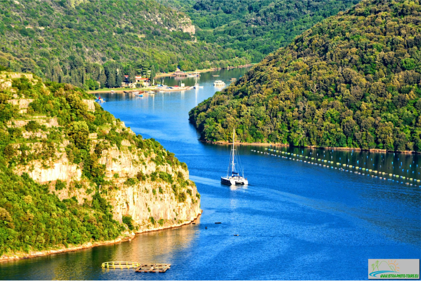 Lim Fjord | Premium boat tours Istria, Funtana, Dolphin tours Istria