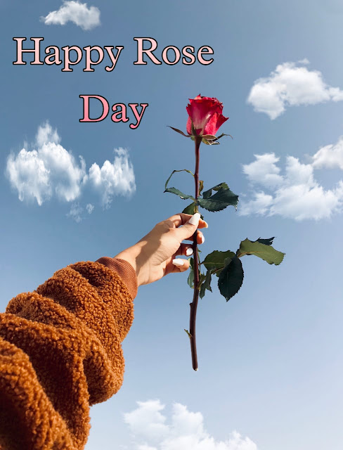 Rose Day Images