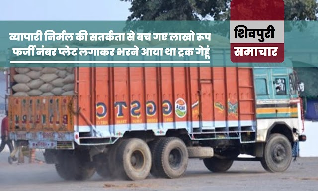 Shivpuri news- व्यापारी में फर्जी नंबर प्लेट लगाकर गेहूं भरने आया ट्रक पकड़ा