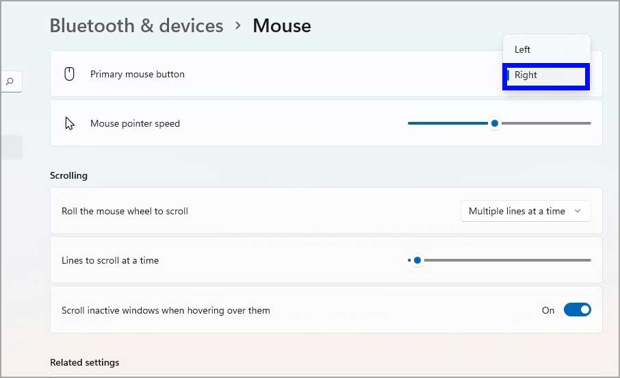2-windows-11-settings-primary-mouse