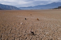 Dürre in Chile