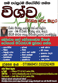 විශ්වයේ ජීව බලය Universal life force  enargy