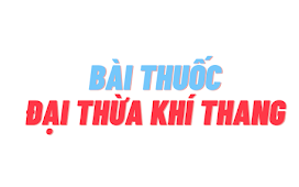 BÀI THUỐC ĐẠI THỪA KHÍ THANG