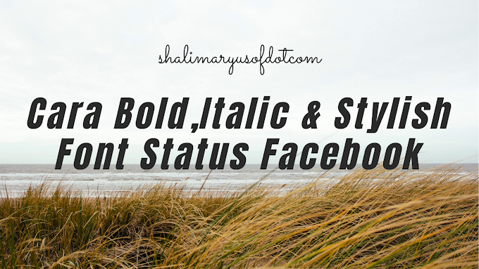 Cara Buat Tulisan Bold, Italic Dan Stylish Font Di Status Facebook Dan Instagram