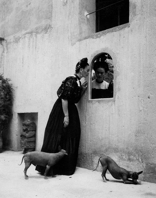 A fotografia mostra a pintora Frida Kahlo com um vestido longo e sua imagem refletida em um espelho. Há a presença de dois cachorros perto dela. Um deles está cheirando as pernas de Frida e o outro, o chão.