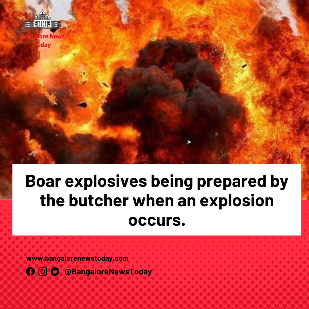 Boar explosives are prepared by the butcher when an explosion occurs.
