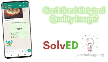 How to Send Original Quality Image in WhatsApp?