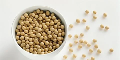 Myths About Soy