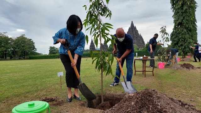 Hijaukan Indonesia, KBI Ikuti Arahan Menteri BUMN Tanam Pohon