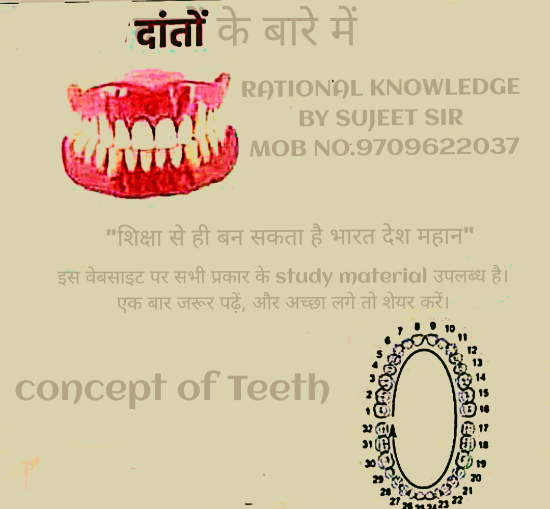 चित्र