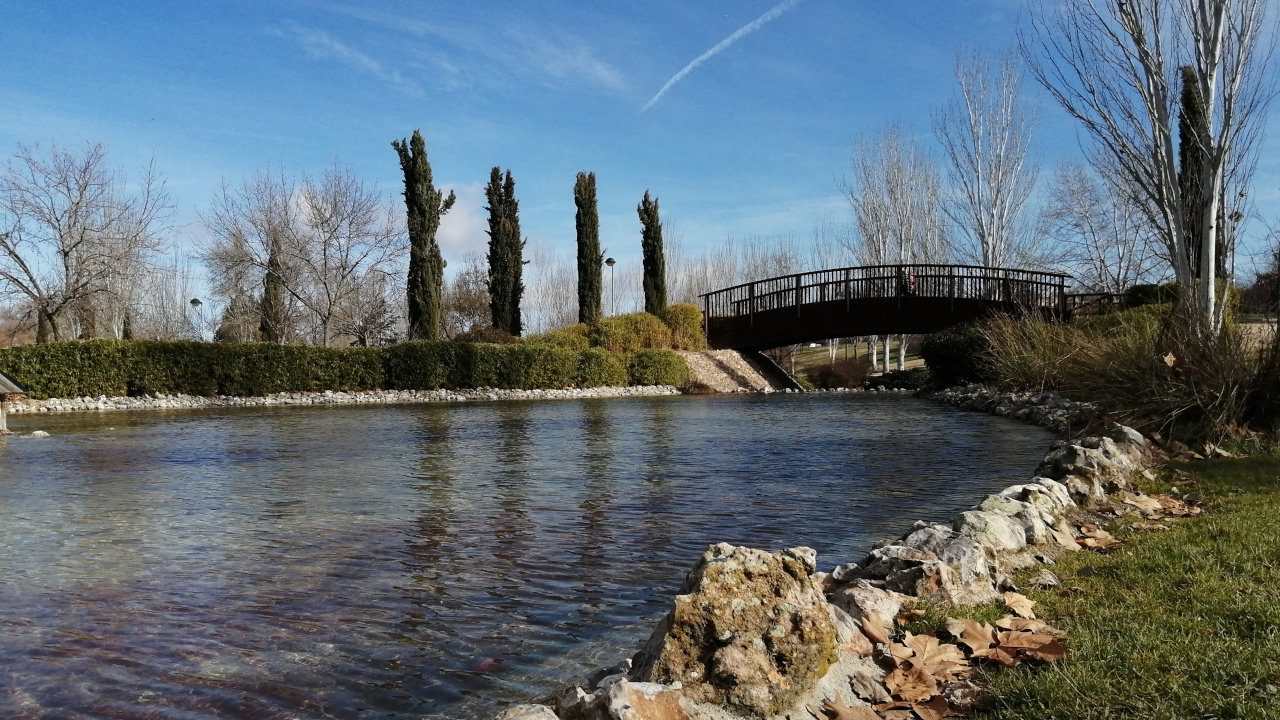 Parque de Valdegrullas (Leganés)