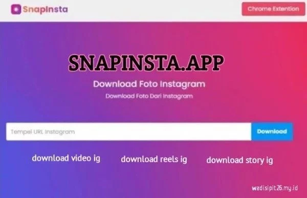 Snapinsta Download Reels, Video, Foto, IGTV, Story IG online